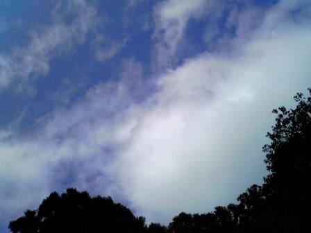e0119017_2443819.jpg