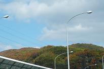 b0167519_8552418.jpg