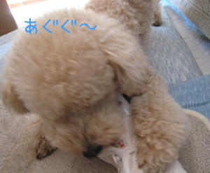 c0060920_20131170.jpg