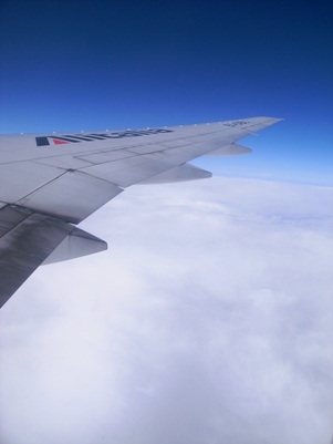 d0098022_1538524.jpg