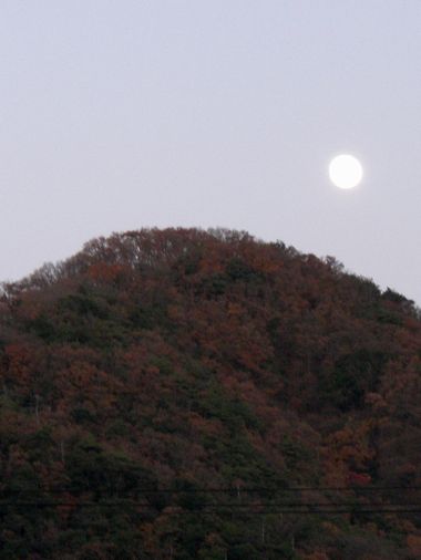 c0152123_19231428.jpg