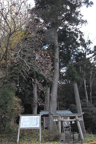 f0007926_2210591.jpg