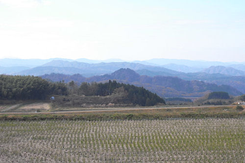 f0007926_2221763.jpg