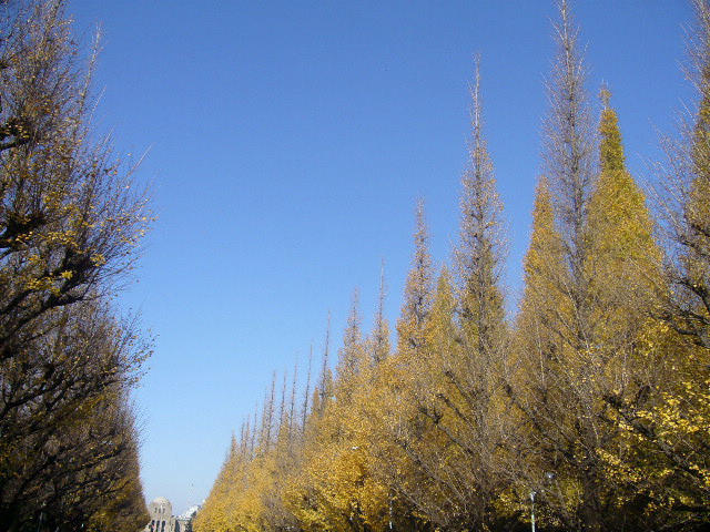 f0023329_1051049.jpg