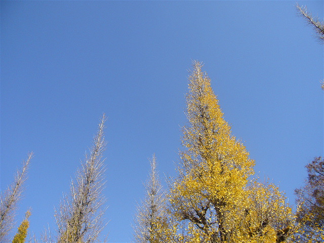 f0023329_9553749.jpg