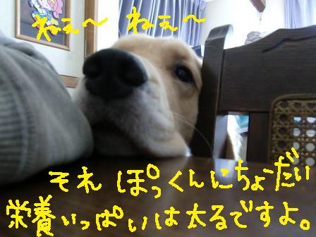 f0176830_20121697.jpg