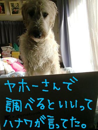 f0176830_20201289.jpg