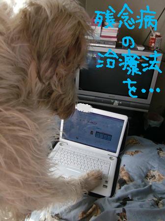 f0176830_20221072.jpg