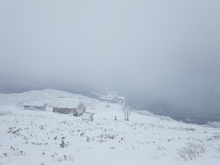 f0118332_2349028.jpg