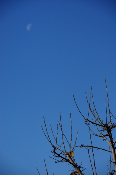 c0133533_2141374.jpg