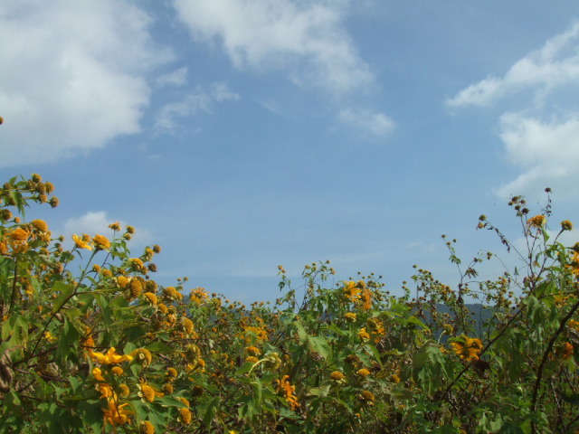 b0128737_850421.jpg