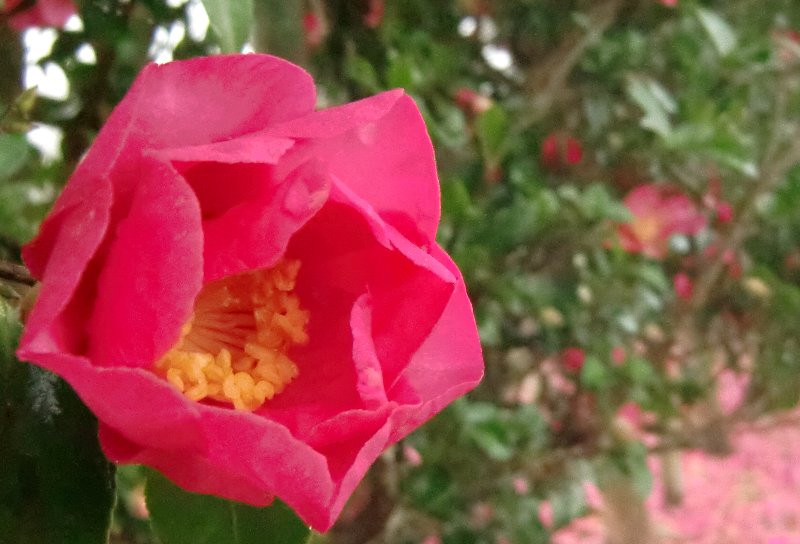c0122445_19372671.jpg