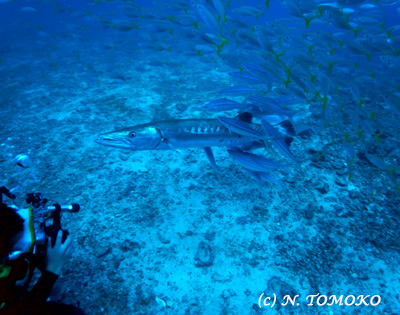 e0027447_15472419.jpg