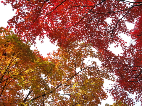 c0181450_19313569.jpg