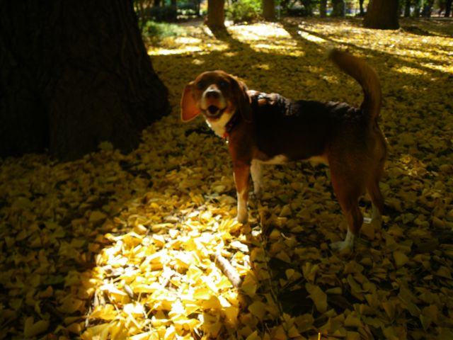 f0046250_17114366.jpg