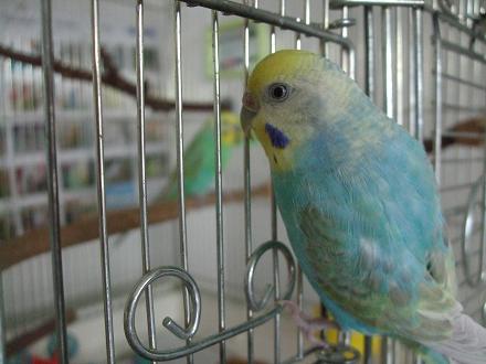 f0149057_1728436.jpg