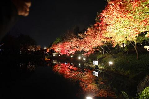 b0125858_1044284.jpg