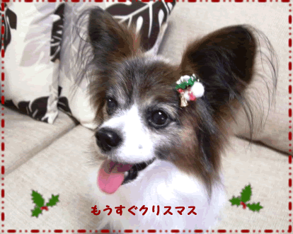 e0141159_2257254.gif