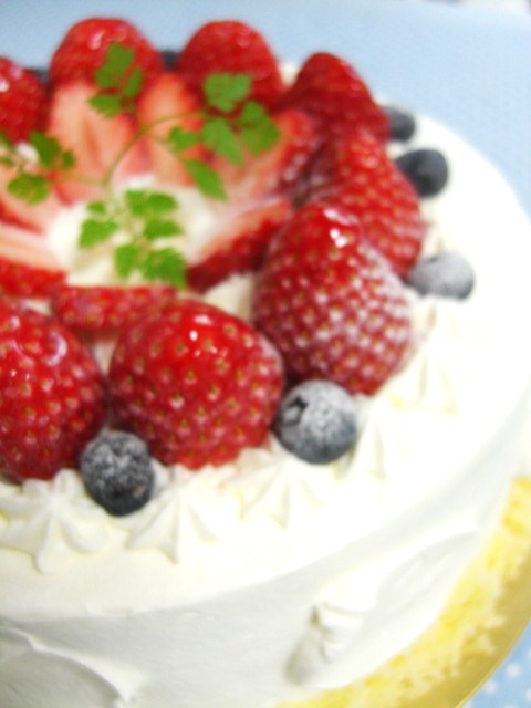 c0169360_11383685.jpg