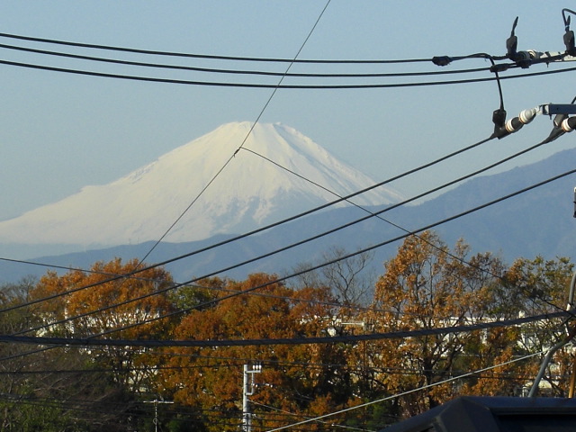 c0169360_9205851.jpg