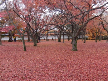 f0195963_17542092.jpg
