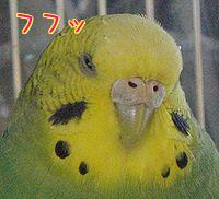 f0196665_0104763.jpg