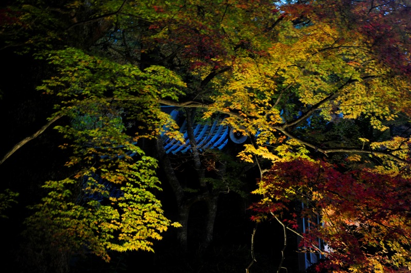 b0131167_1663411.jpg