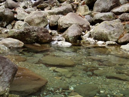 d0128167_1226585.jpg