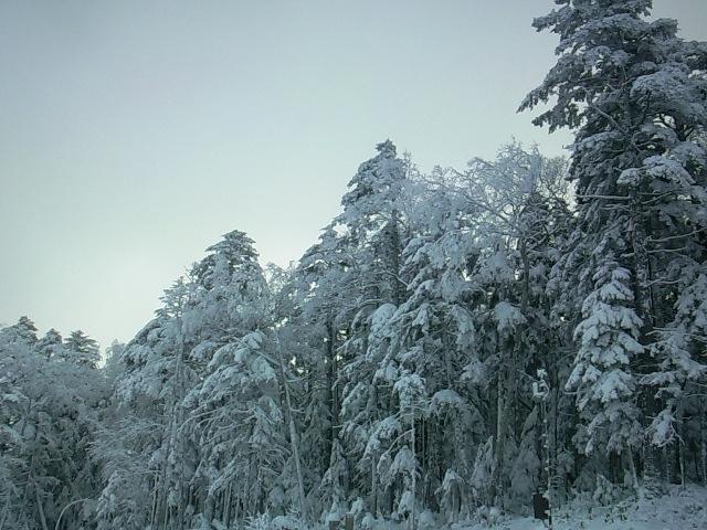 e0187567_614447.jpg