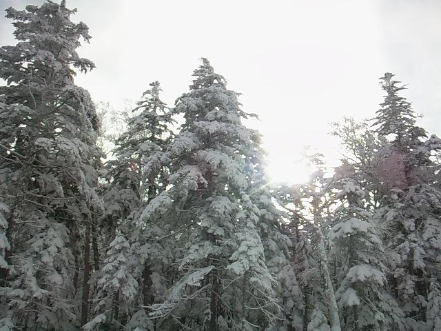 e0187567_681276.jpg