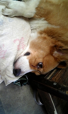 f0003174_2013297.jpg