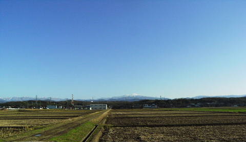 c0022275_1626447.jpg