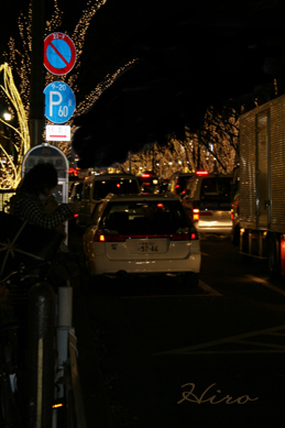 c0156679_1231484.jpg
