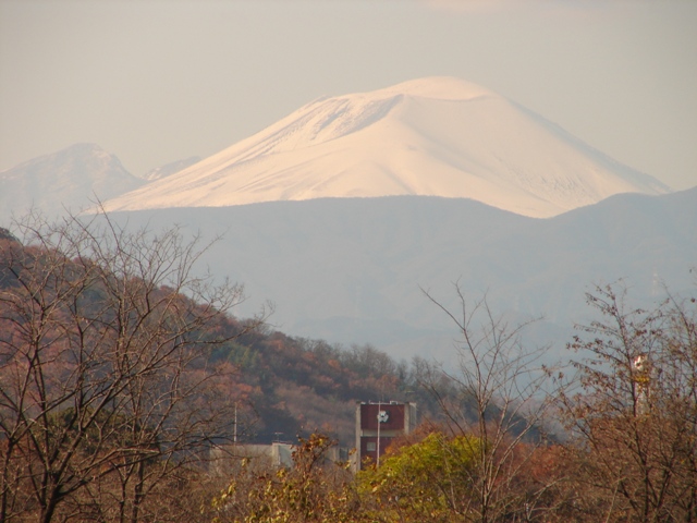 b0011185_2244414.jpg