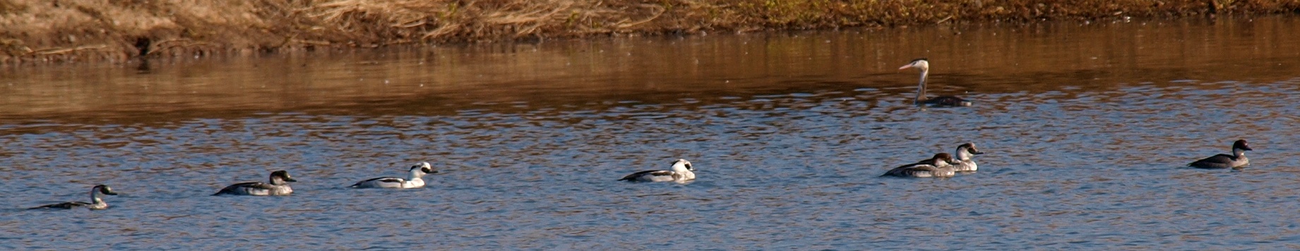 b0108186_024550.jpg