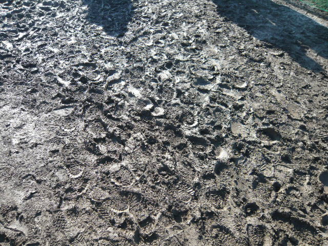 c0112286_1921018.jpg