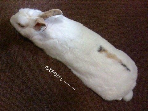 f0201191_2216896.jpg