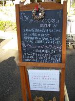 b0119495_1552487.jpg