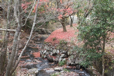 c0205806_1927436.jpg