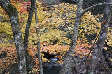 c0205806_19333011.jpg