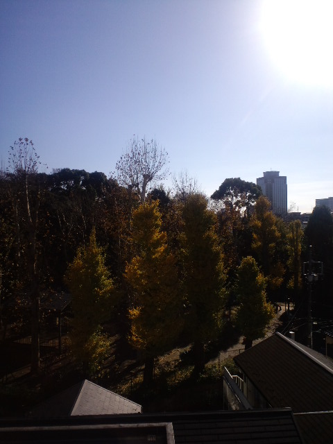 a0088007_22234699.jpg