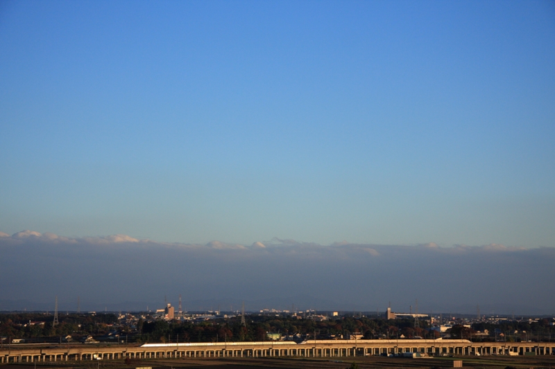 b0180907_0511554.jpg