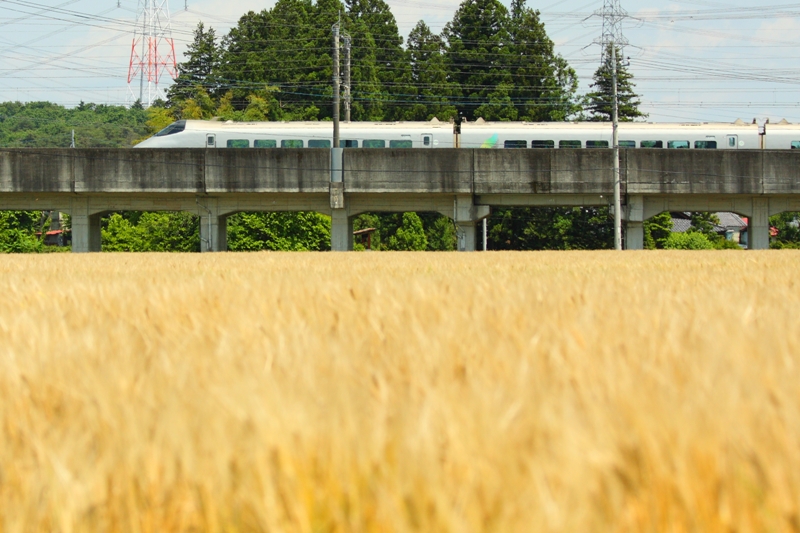 b0180907_0523458.jpg