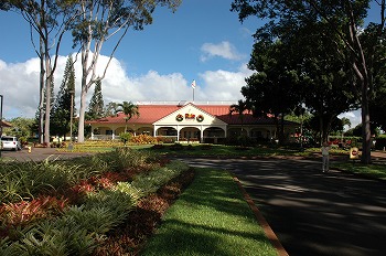 b0171411_0524015.jpg