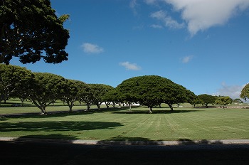 b0171411_226046.jpg