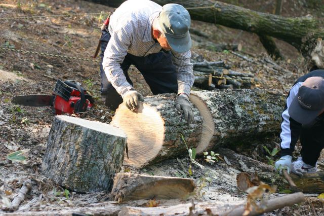 f0011412_2261564.jpg