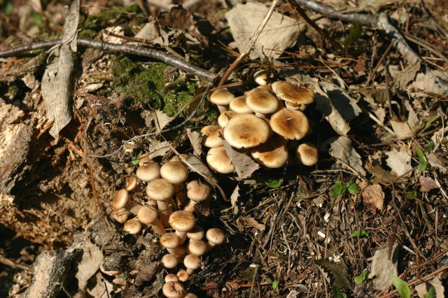 f0011412_227444.jpg