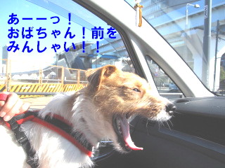 c0185516_1410553.jpg