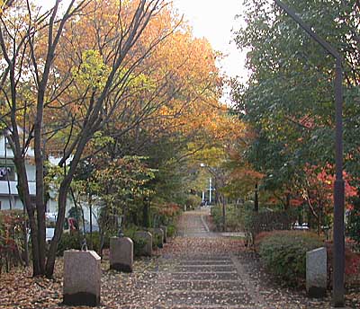 c0083817_46847.jpg
