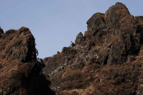 f0197319_16392014.jpg